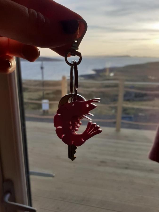 The Sleepy Crofter Glamping - Achiltibuie Hotell Exteriör bild